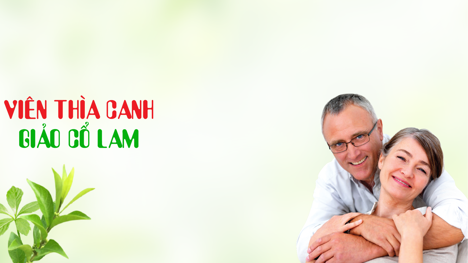 VIÊN THÌA CANH GIẢO CỔ LAM